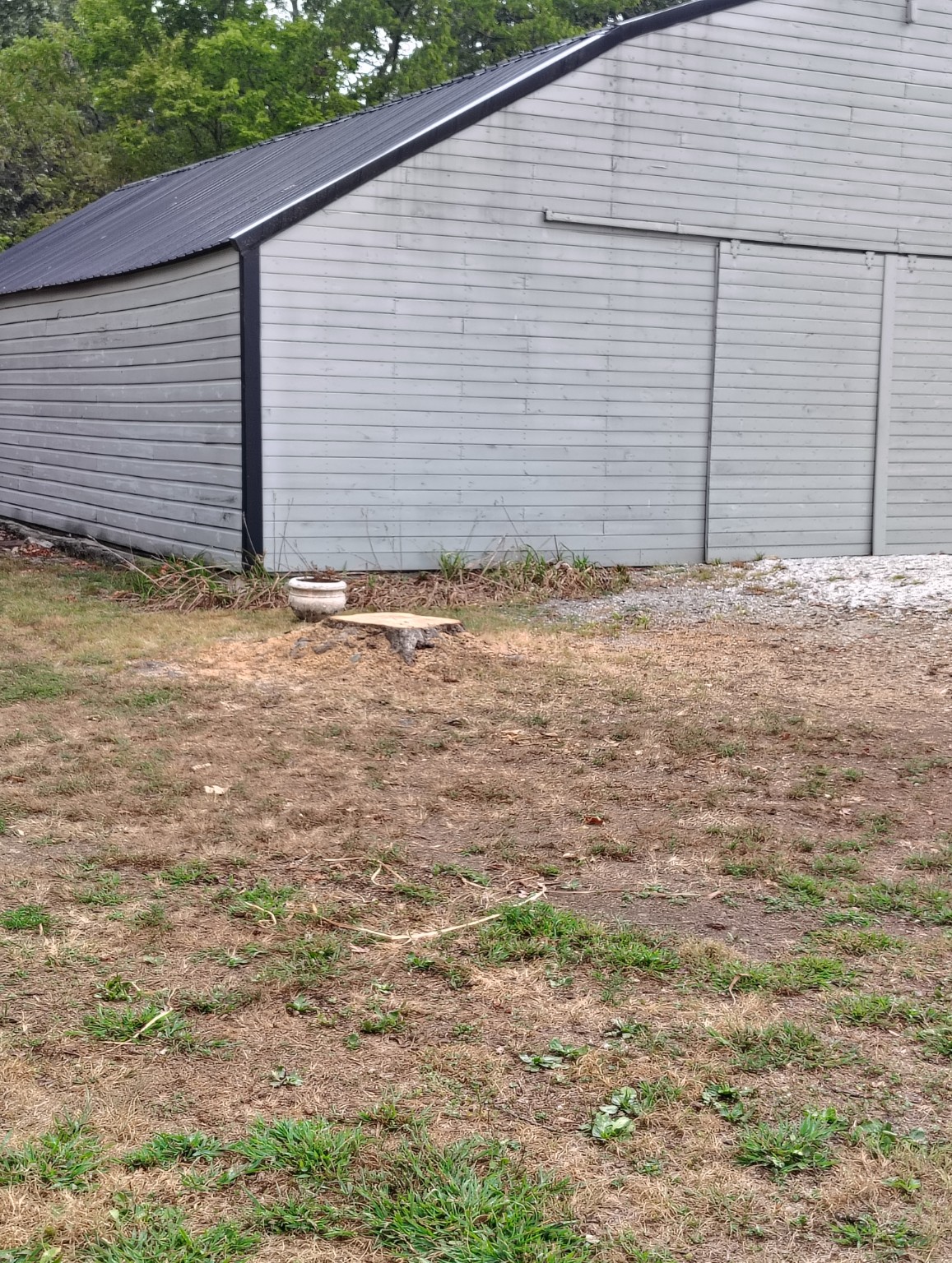 Completed tree removal area